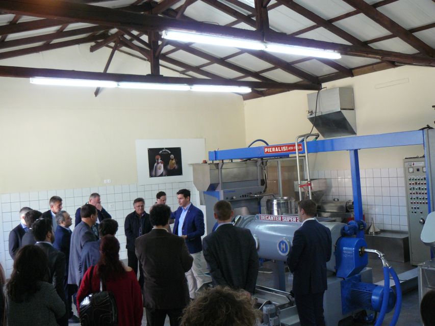 Corfu: Olive Oil Experience - The Governor's Olive Mill - The old loutrouvio and the work behind every drop