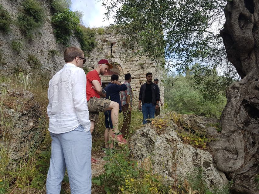 Corfu: Olive Oil Experience - The Governor's Olive Mill - Ancient groves and the Mitera olive tree