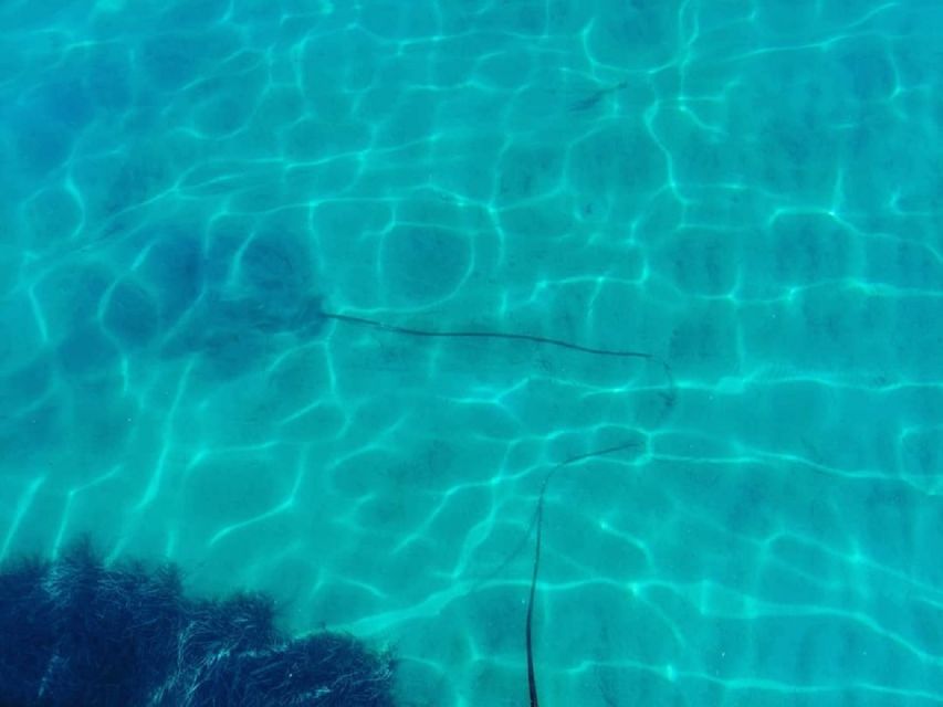 Corfu: Private Sailing Yacht Cruise - Swimming Near Vido and Lazareto