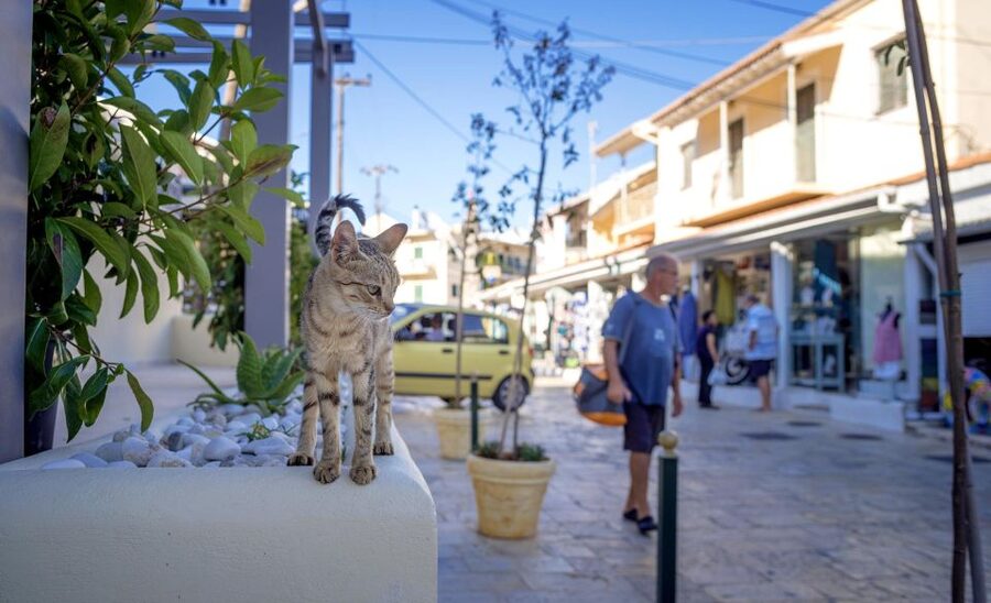 Corfu: Shore & Shared Tour – Kassiopi & Canal d’Amour - Practical packing and timing advice