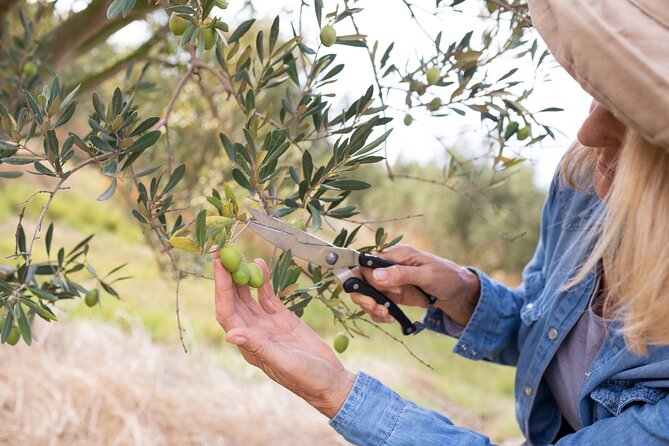 Cretan Wines & Olive oil tour - The treasures of Crete - Why the small group changes the experience