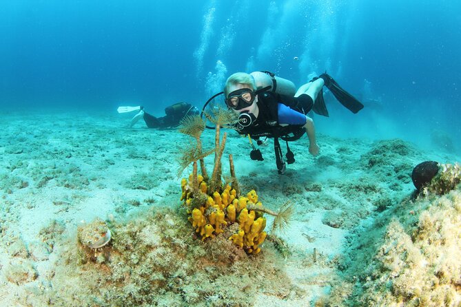Crete-Chania: Snorkeling & Scuba Dive for Beginners by Boat - What the four-hour Chania boat trip is really like