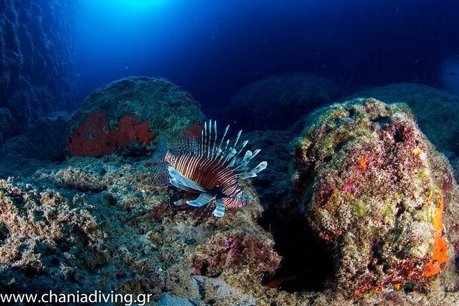 Crete-Chania: Snorkeling & Scuba Dive for Beginners by Boat - Is $181.02 a fair price?