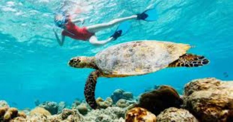 Crete: Coastline Snorkeling Cruise from Hersonissos Port - Staff, equipment, and the small practical details