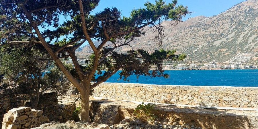 Crete: Day Trip to Agios Nikolaos and Spinalonga Island - Guides, languages, and the pace of the day