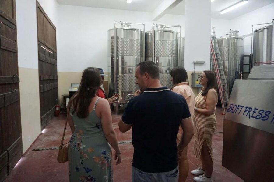 Crete: Full-Day Cretan Wines, Olive Oil, Raki and Food Tour - The raki distillery and the ancient wine press
