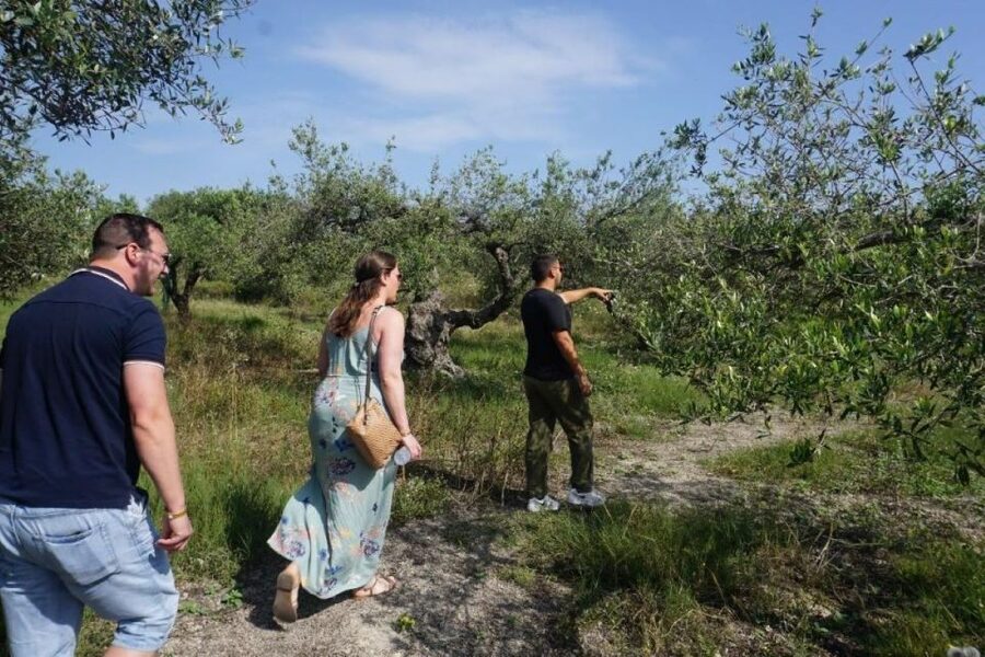 Crete: Full-Day Cretan Wines, Olive Oil, Raki and Food Tour - Thrapsano pottery and a chance to use the wheel