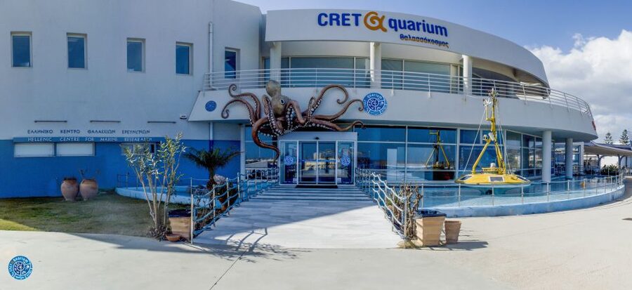 Crete: Heraklion Center, Local Market and Creta Aquarium - Eighty minutes with sharks and jellyfish