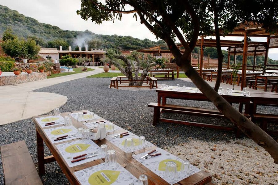 Crete: Knossos, Lasithi, Lasinthos and Olive Farm Combo Tour - Is $50.82 good value?