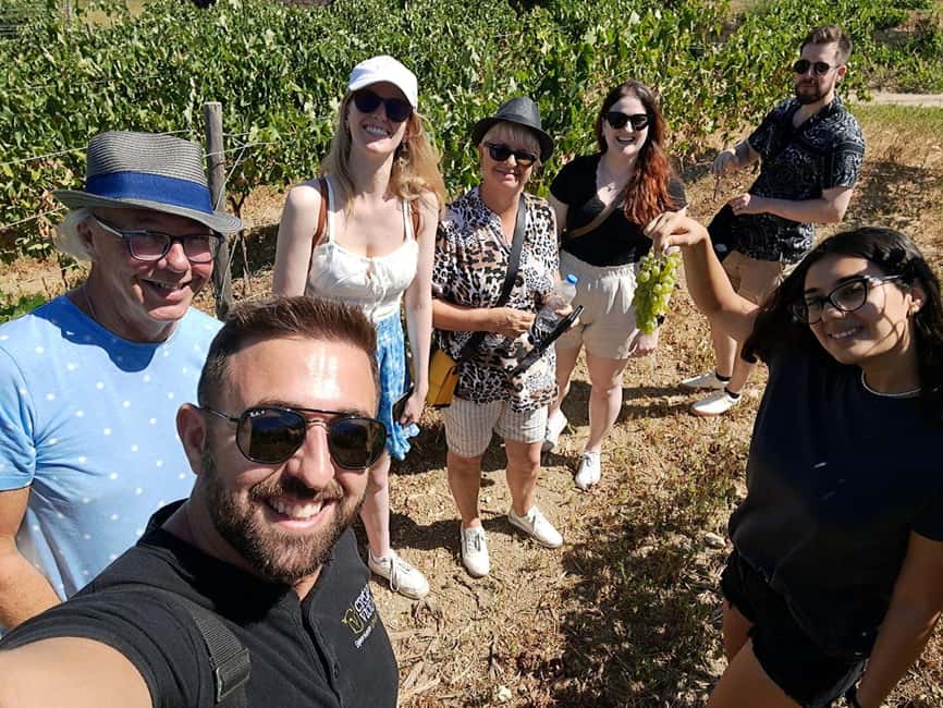 Crete: Knossos Palace, Winery & Olive Oil Tour with Lunch - Is $123 good value?