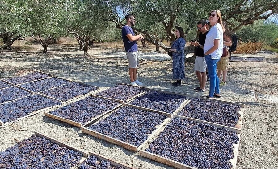 Crete: Knossos Palace, Winery & Olive Oil Tour with Lunch - Who should book this Crete tour?