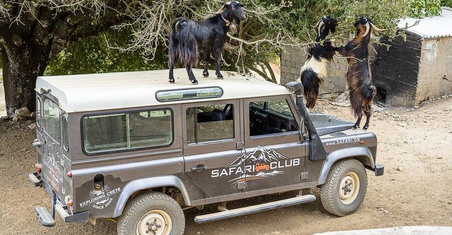 Crete: Land Rover Safari on Minoan Route - Key points to know before you book