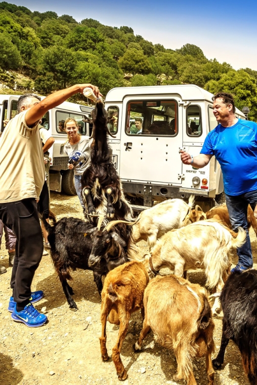 Crete: Land Rover Safari on Minoan Route - Why this safari shows you a different Crete