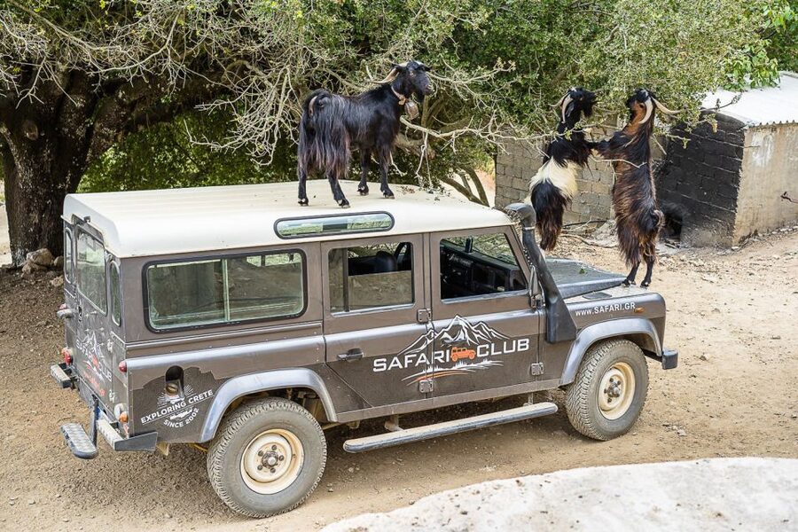 Crete: Land Rover Safari on Minoan Route - Kastamonitsa and the first taste of raki