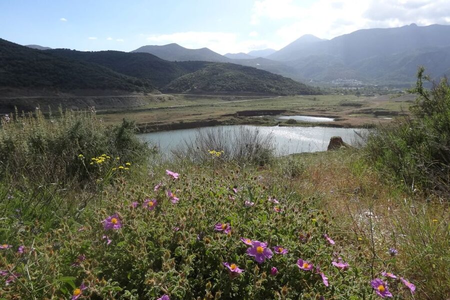 Crete: Land Rover Safari on Minoan Route - Meeting a shepherd at a mountain mitato