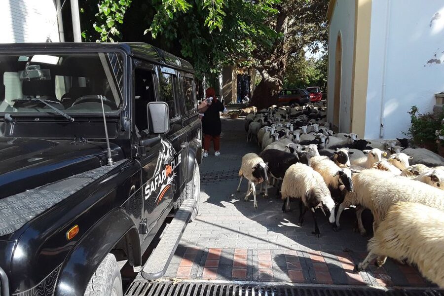 Crete: Land Rover Safari on Minoan Route - Lassithi’s farms, donkeys, and wide views