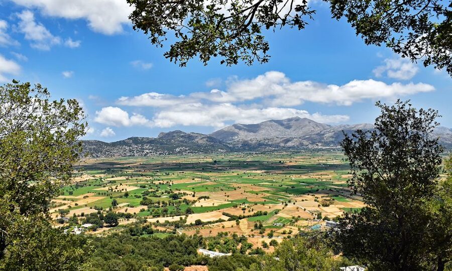 Crete: Lasithi Plateau & Knossos Palace Day Trip - Lasithi Plateau, windmills, and the high-country views