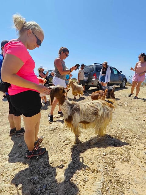 Crete: Lasithi Plateau Zeus Cave Guided Jeep Safari Tour - Olive oil, Avdou, and the working side of Crete