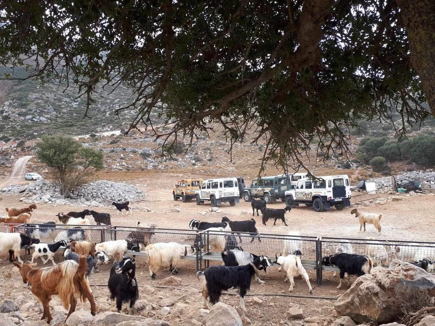 Crete: Lasithi Plateau Zeus Cave Guided Jeep Safari Tour - Krasi village and the slower pace of the hills