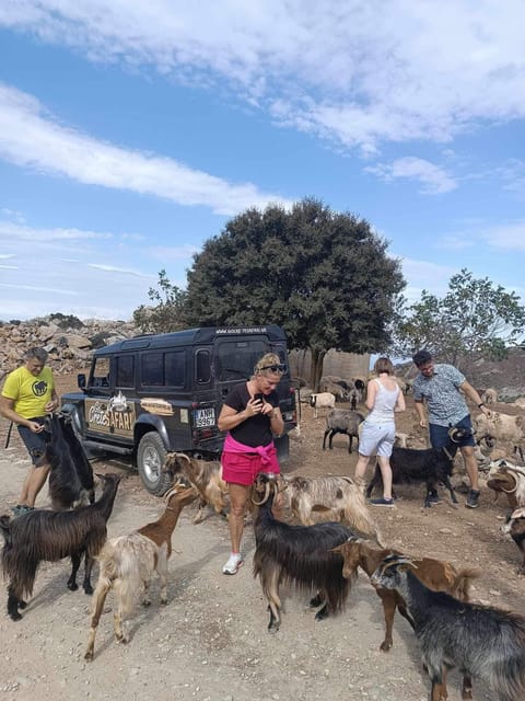 Crete: Lasithi Plateau Zeus Cave Guided Jeep Safari Tour - The Lasithi Plateau at 1,150 meters
