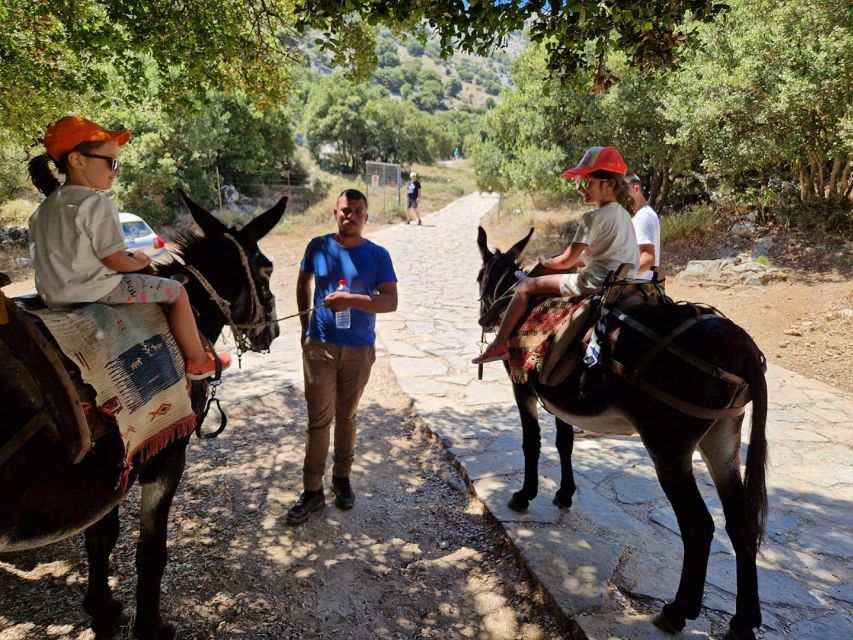 Crete: Lasithi Plateau Zeus Cave Guided Jeep Safari Tour - A proper Cretan lunch in a village tavern