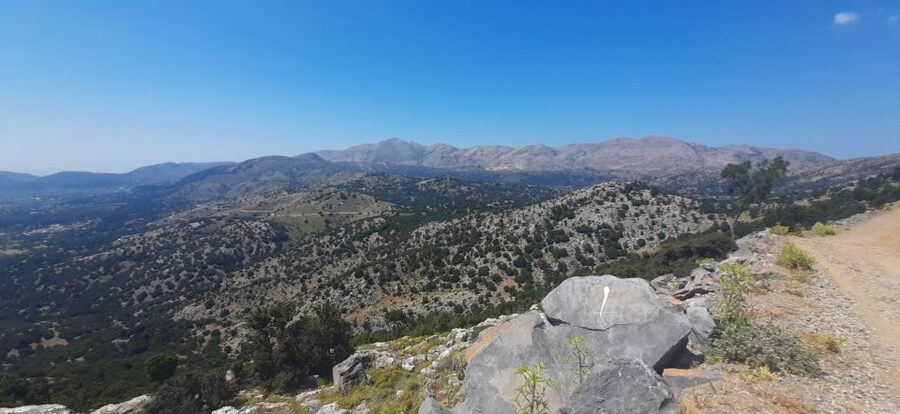 Crete: Olive, Wine, & Raki on a Flavorful Culinary Journey - Who should book this experience?