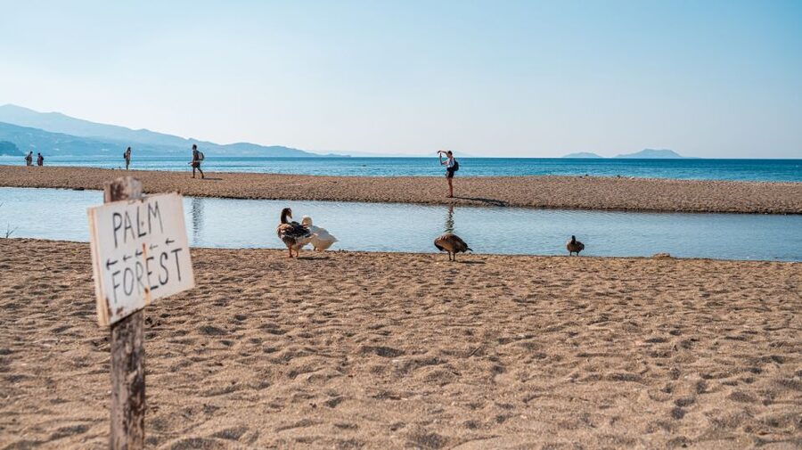 Crete: Preveli Tropical Beach and Palm Forest - Four hours for swimming, sun, and river walking