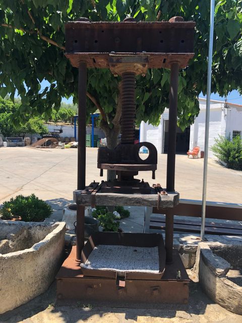 Crete Private Tour: The Secrets of Wine, Olives & Honey - Apithano Honey Museum and the work of bees