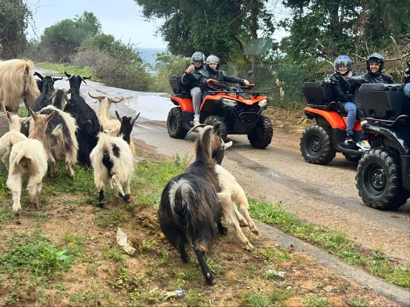 Crete: Quad Safari with Ghost Town Exploration - What the $99 price really gets you