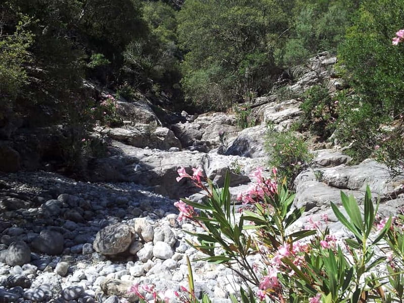 Crete: Richtis Waterfall Full-Day Tour with Olive Tasting - Why the six-person limit matters