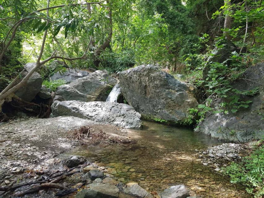 Crete: Richtis Waterfall Full-Day Tour with Olive Tasting - Is $111 a fair price?