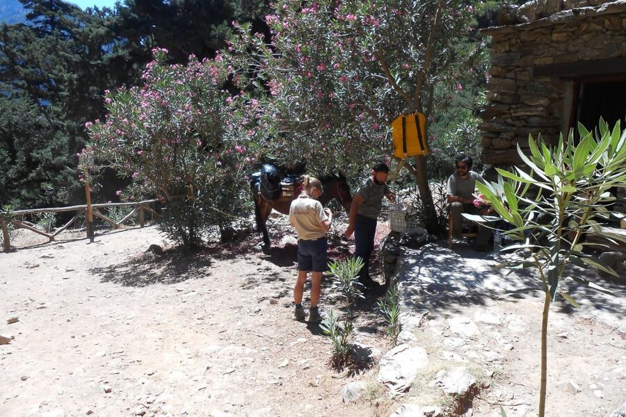 Crete: Samaria Gorge Hiking with transfer and expert Escort - Why Samaria Gorge Is Worth the Long Day