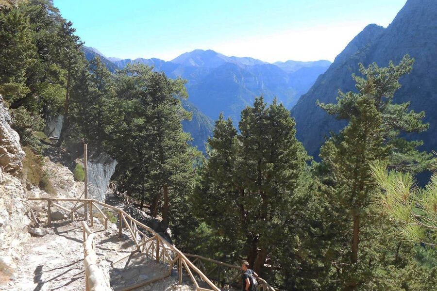 Crete: Samaria Gorge Hiking with transfer and expert Escort - The Omalos Plateau Start