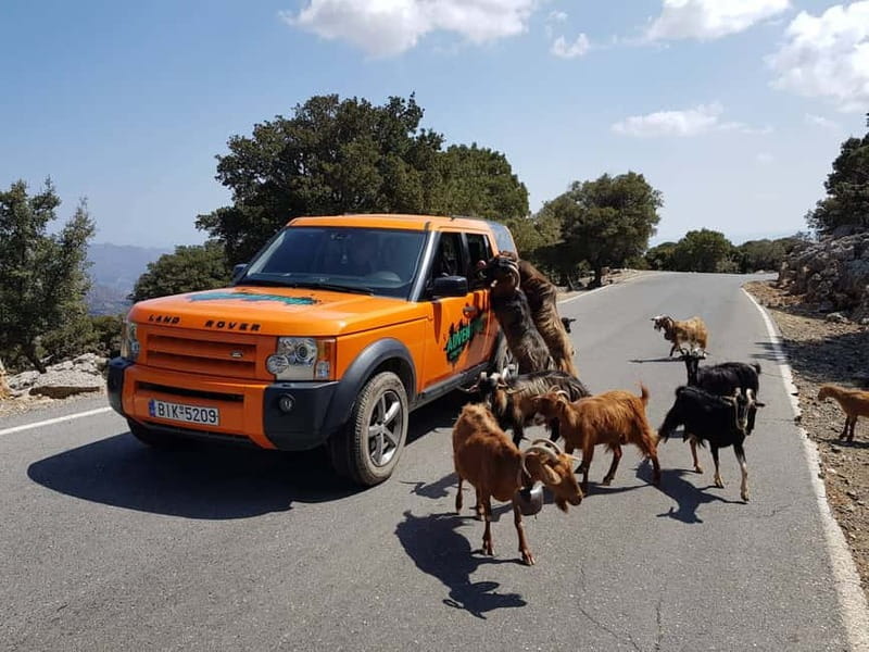 Crete: Sarakina Gorge, Forests, and South Coast Safari - A small Land Rover into inland Crete