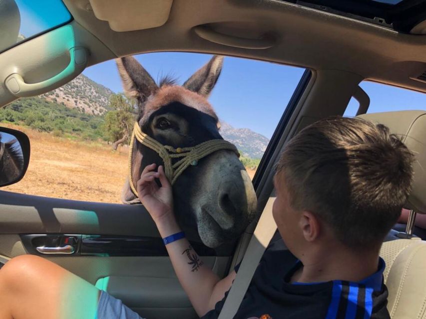 Crete: Sightseeing Day Trip with Cooking Lesson and Lunch - Key points at a glance