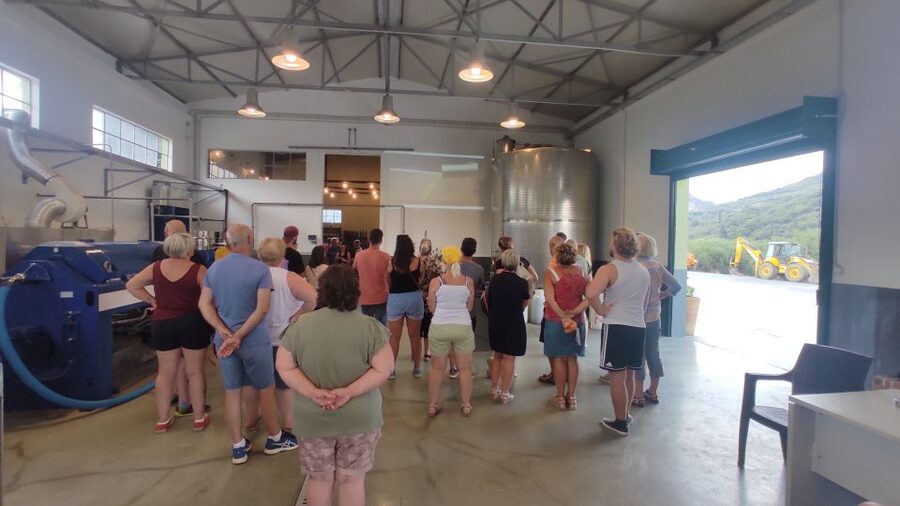 Crete: Sightseeing Day Trip with Cooking Lesson and Lunch - Cooking with local Cretan ingredients