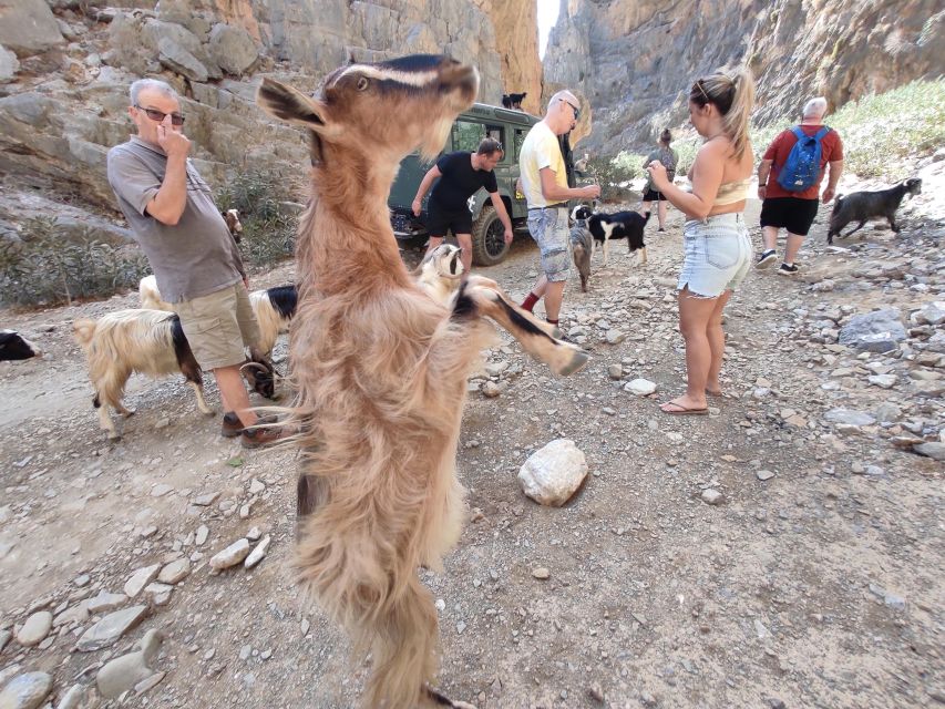 Crete: Trypiti Beach Off-Road South Tour w/ Lunch & Wine - Who Will Enjoy This Crete Day Trip?