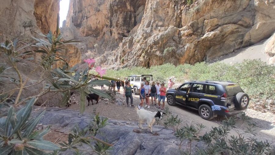 Crete: Trypiti Beach Off-Road South Tour w/ Lunch & Wine - Is $108 a Fair Price?