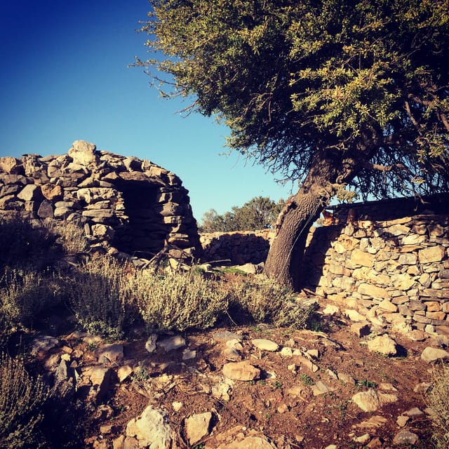 Crete: White Mountains Preserve Day Tour - From Chania’s orchards to the White Mountains