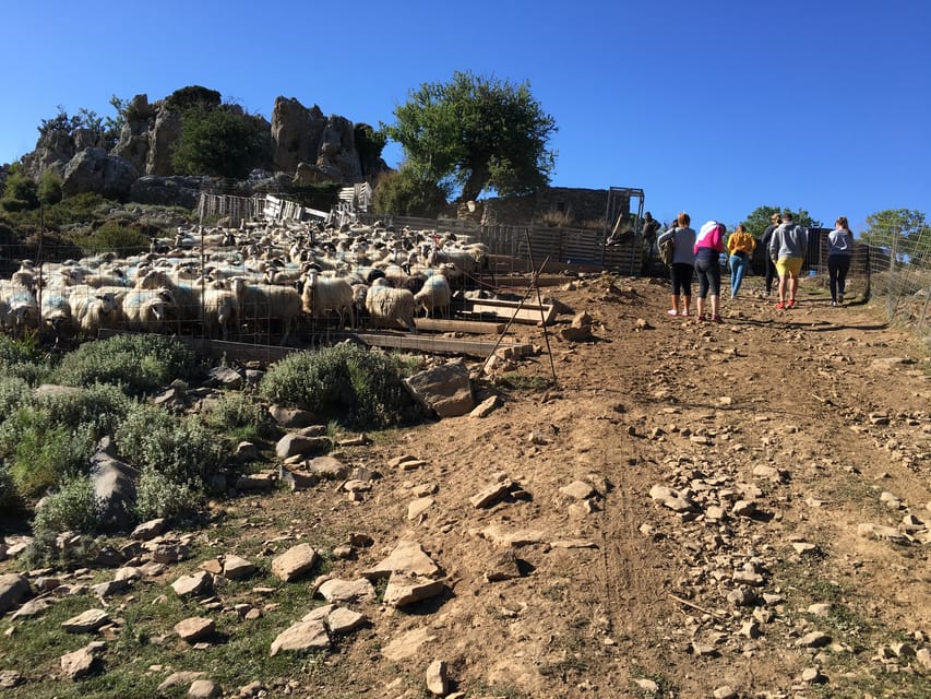 Crete: White Mountains Preserve Day Tour - Practical preparation for a cooler, rougher day