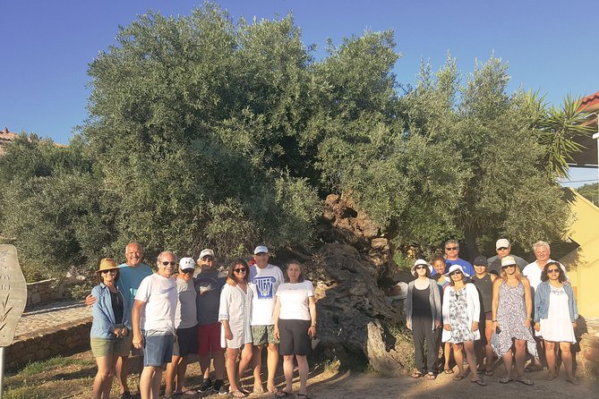 Crete Wine and Olive Oil Tour - Manousakis Winery in Vatolakkos