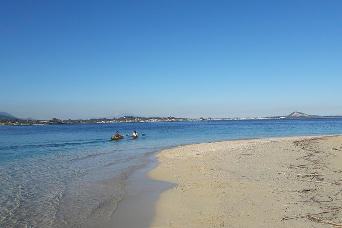 Cruise to turtle's island and caves with a glass bottom boat - Glass-bottom boat or speedboat?