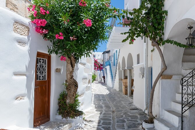 Day Tour to Santorini Island from Heraklion Crete - Guides, drivers, and group organization