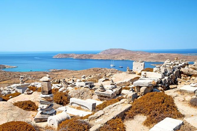 Delos Day Trip from Mykonos - The House of Dionysus and its tiger mosaic