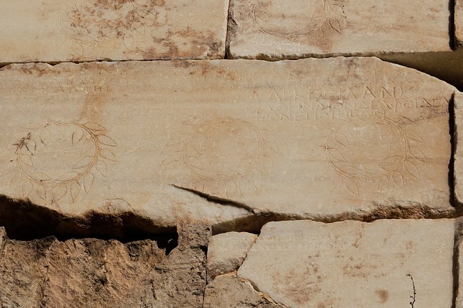 Delphi Private Full Day Tour from Athens - The guide question: driver or licensed expert?