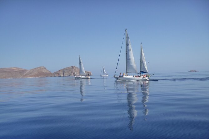 Dia island : Small Group Sailing Trip to Dia Island with Lunch - Leaving Heraklion from the Old Venetian Port