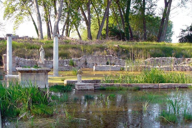 Discover Olympus & Dion: Private Day Trip from Thessaloniki - What the $241.36 price means for your group