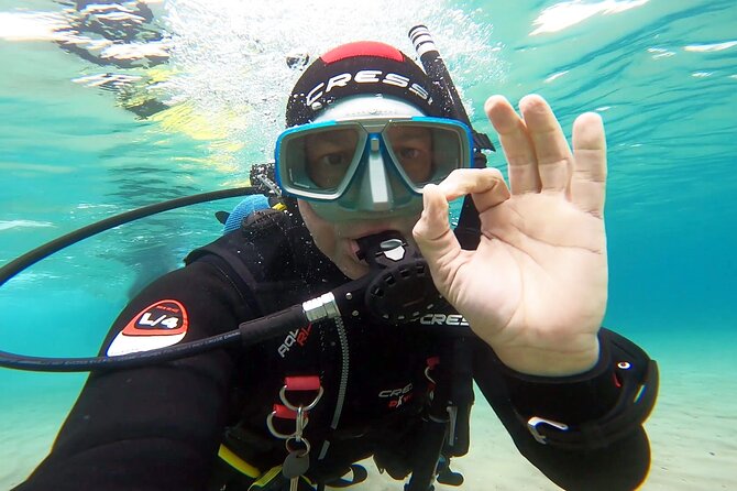 Discover Small Group Scuba Diving Experience in Nea Makri, Athens - A 5 to 6 meter look below the surface