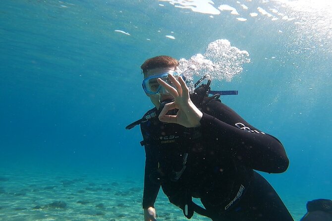 Discover Small Group Scuba Diving Experience in Nea Makri, Athens - Photos, videos, and the value of the experience