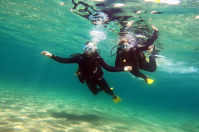 Discover Small Group Scuba Diving Experience in Nea Makri, Athens - Practical details that make the day easier